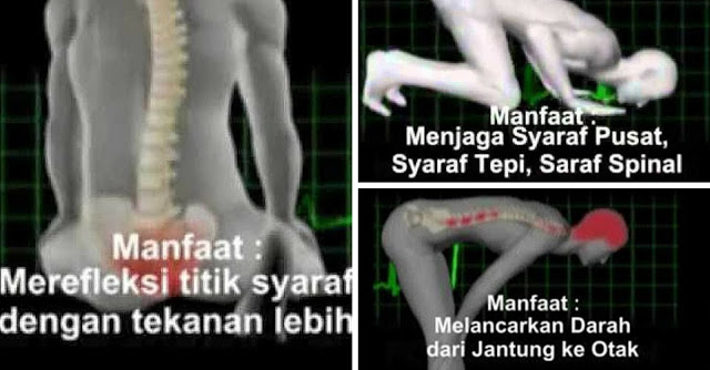 Inilah Manfaat Pergerakan Dalam Solat Bagi Tubuh Manusia Yang Ramai Pandang Remeh – Salam.my